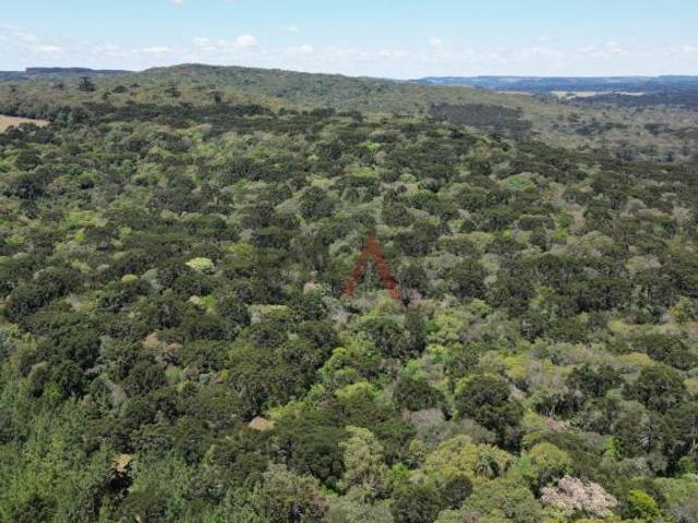 Sítio para venda em Guarapuava