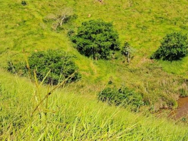 Sítio para Venda em Guaratinguetá, Posses I, 4 dormitórios, 2 banheiros, 6 vagas