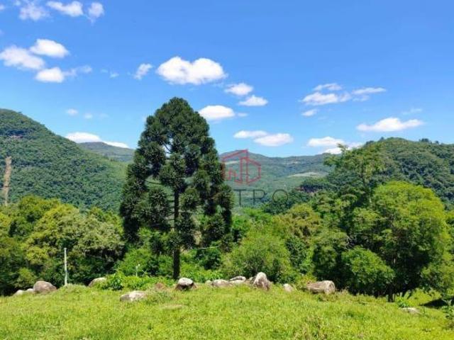 Sítio para venda em Gramado