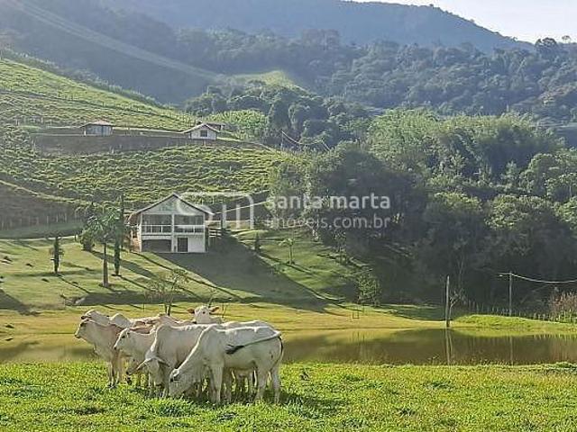 Sítio para venda em Itererê, Wenceslau Braz