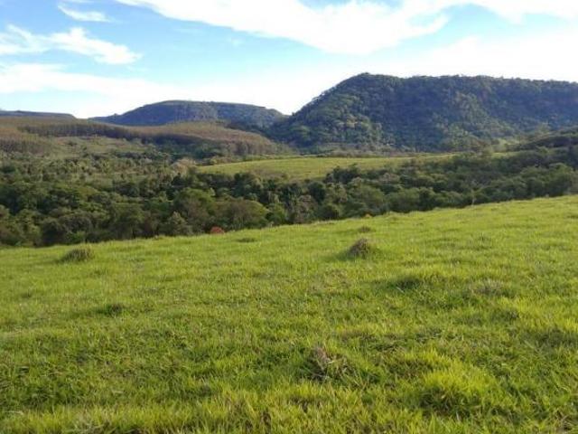 Sítio para venda em Ipeúna