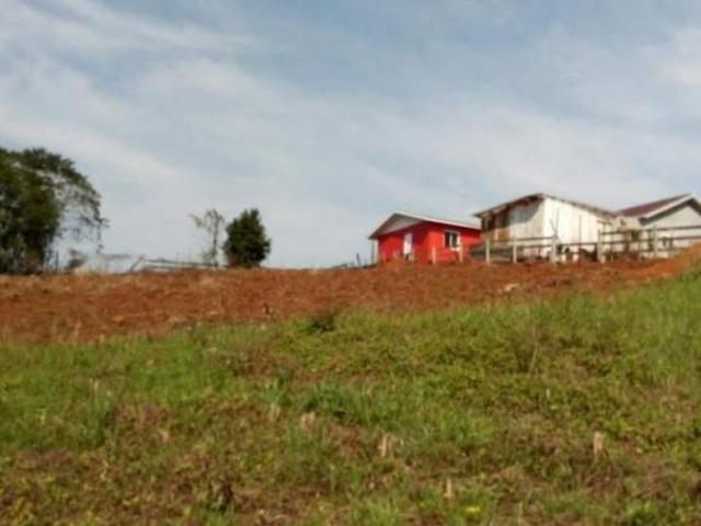 Sítio para venda em Jardim do Cedro, Lajeado