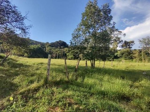 Sítio para venda em Jardim Serra das Estâncias, Amparo