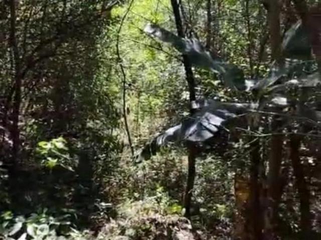 Sítio para venda em Lageado, Porto Alegre