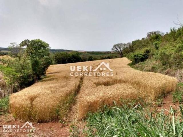 Sítio para venda em Paiquerê, Londrina