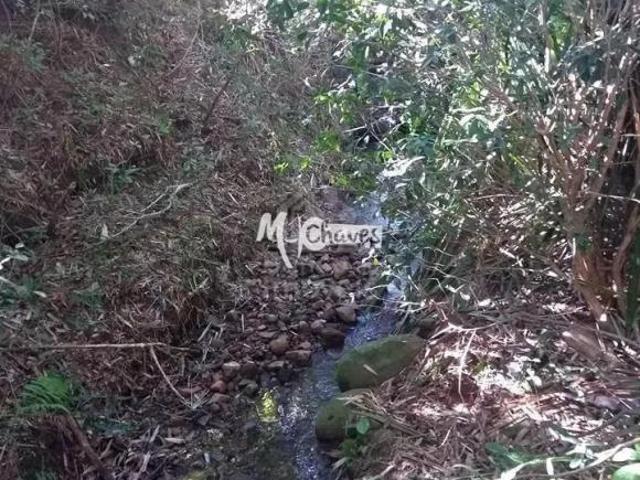 Sítio para venda em Palma, Santa Maria