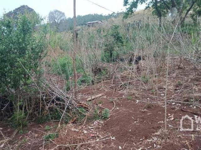 Sítio para venda em Palmital