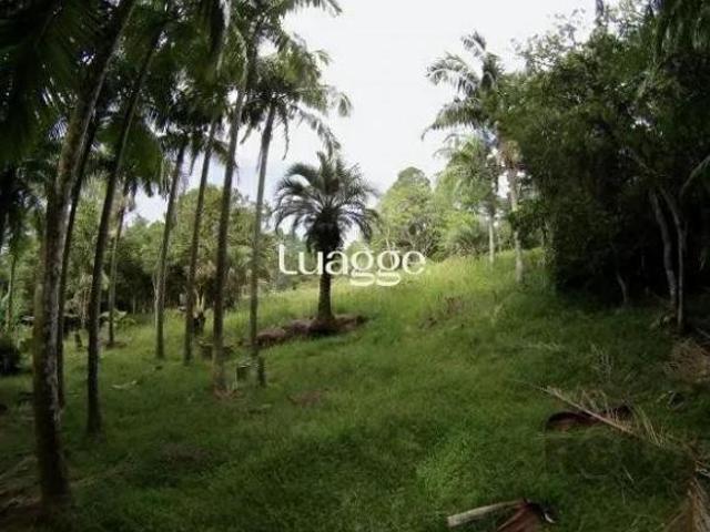 Sítio para venda em Parque Florestal Itapuã, Viamão