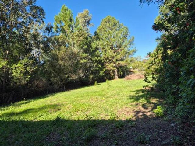 Sítio para venda em Parque Florestal Itapuã, Viamão
