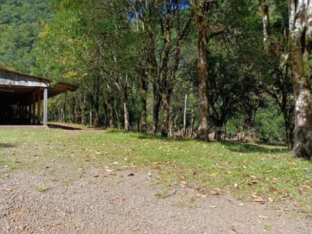 Sítio para venda em Pedras Brancas, São Marcos