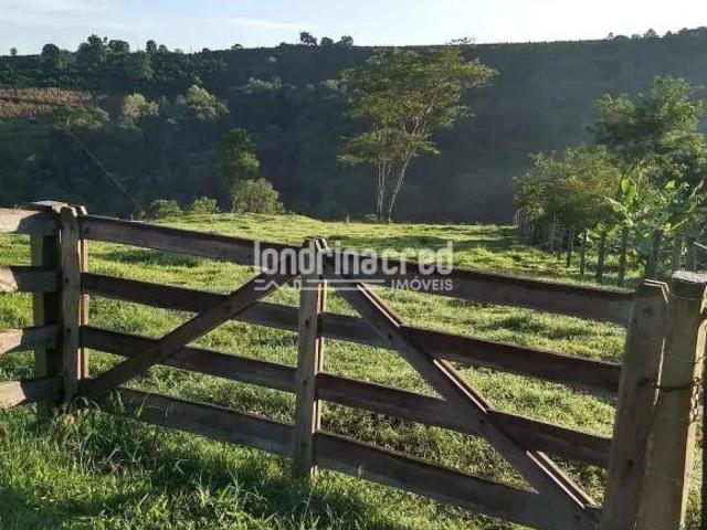 Sítio para venda em Pinhalão
