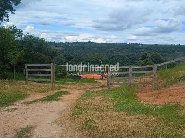 Sítio para venda em Pinhalão