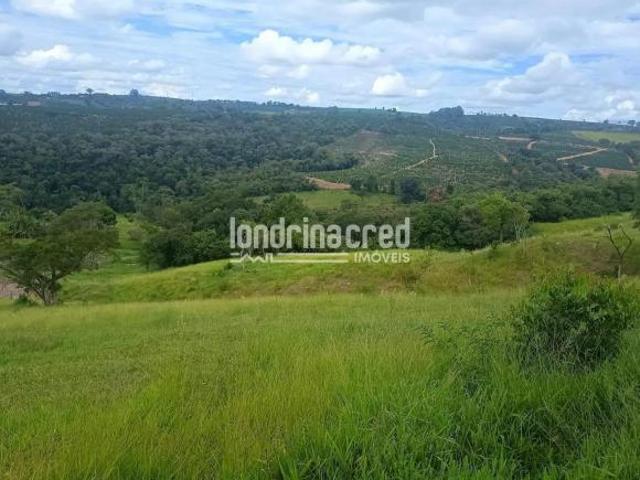 Sítio para venda em Pinhalão