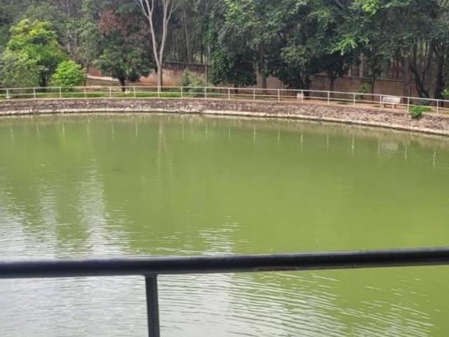 Sítio para venda em Pirapozinho
