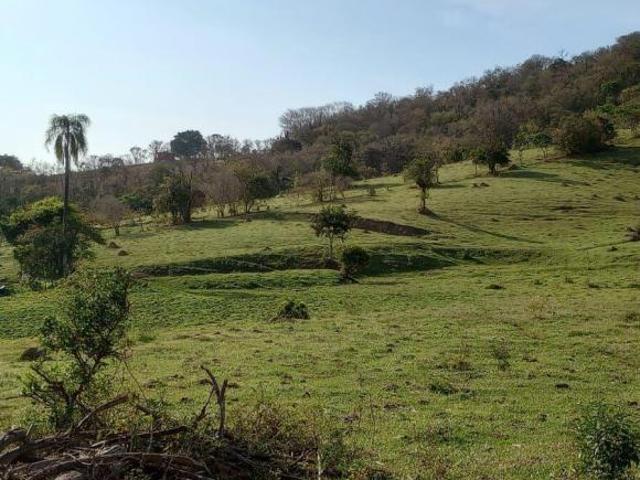 Sítio para venda em Porto, Capela do Alto