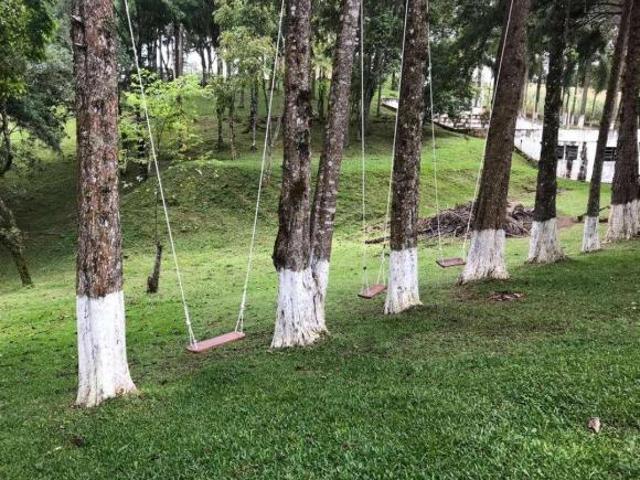 Sítio para venda em Quatro Pinheiros, Mandirituba