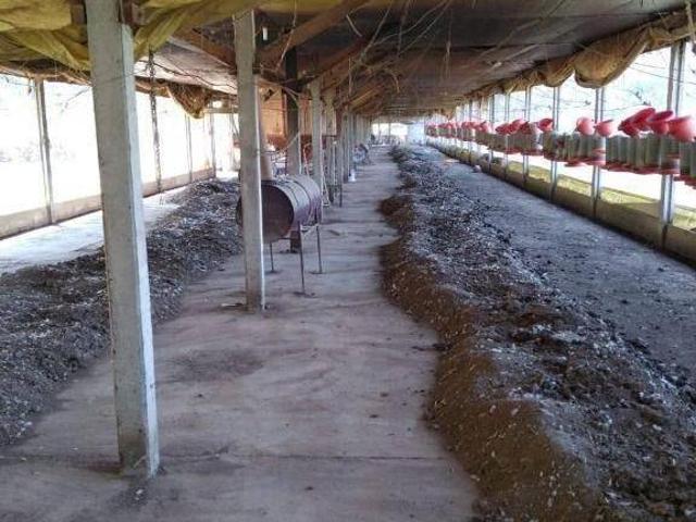 Sítio para venda em Rafard