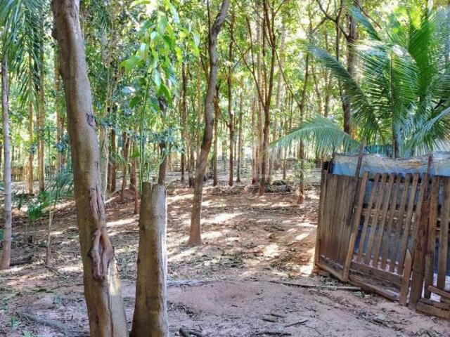 Sítio para venda em Recanto Bela Vista, Olímpia