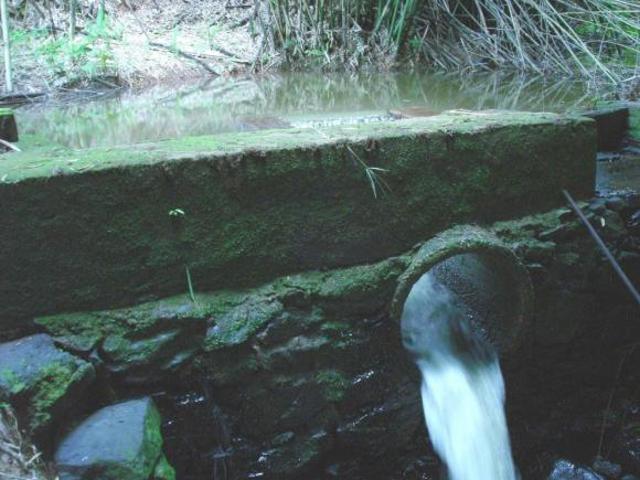 Sítio para venda em Ribeirão Grande, Pindamonhangaba