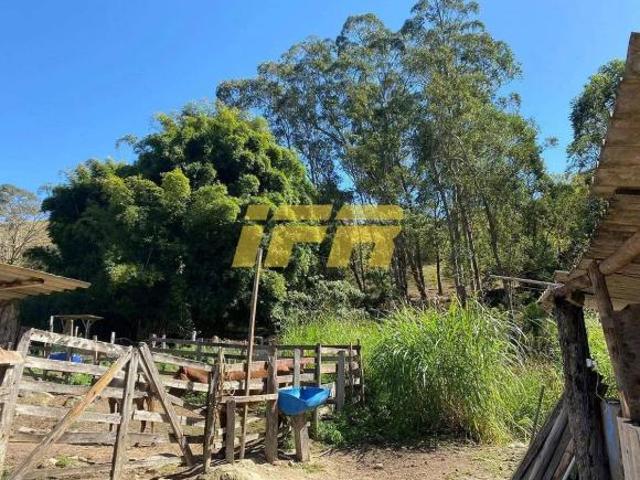 Sítio para venda em São Benedito, São Luiz do Paraitinga