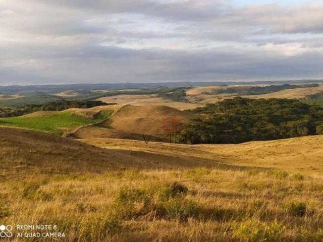 Sítio para venda em São Francisco de Paula