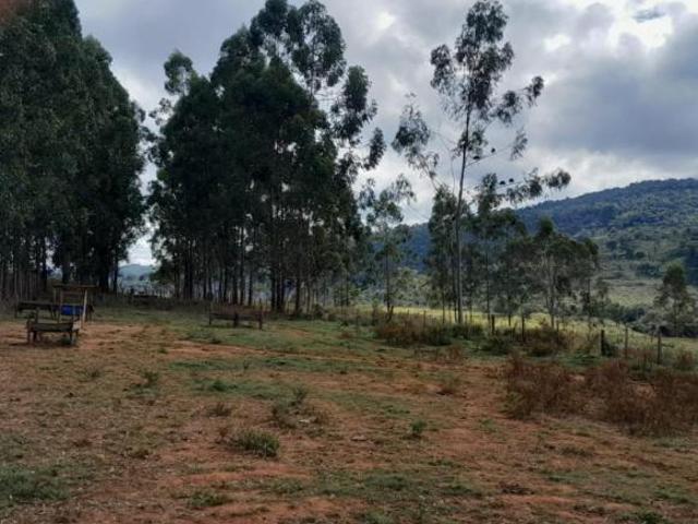 Sítio para Venda em São Sebastião do Paraíso, RURAL