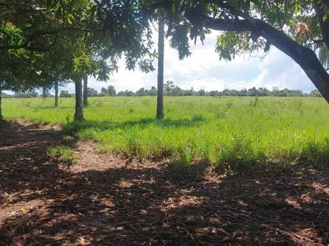 Sítio para Venda em Santa Rita do Passa Quatro, RURAL
