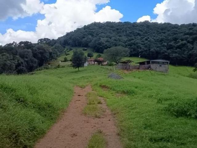 Sítio para Venda em Santa Rita de Caldas, RURAL