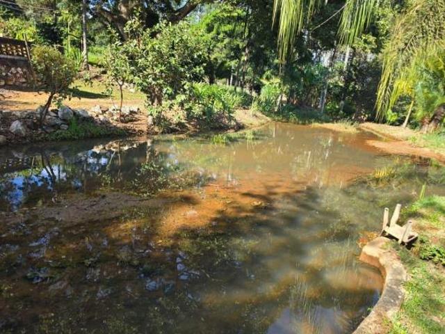 Sítio para Venda em Santo Antônio do Jardim, Área Rural de Santo Antônio do Jardim, 3 dormitórios, 2