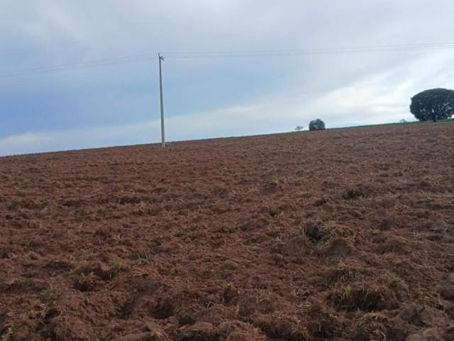Sítio para Venda em Santo Antônio da Alegria, RURAL