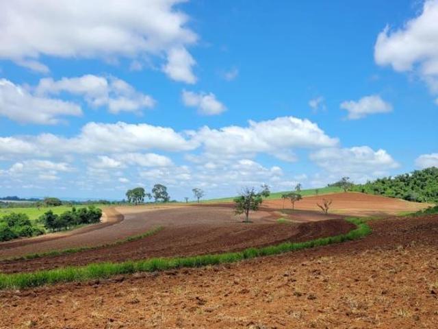 Sítio para Venda em Santo Antônio da Alegria, RURAL