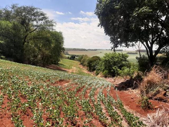 Sítio para venda em Sarandi