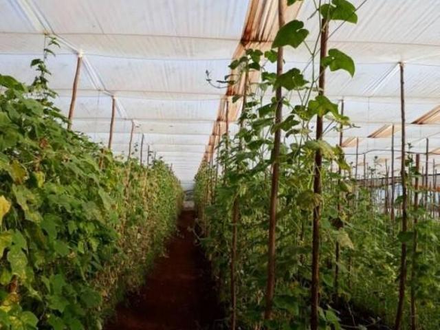 Sítio para venda em Sarutaiá