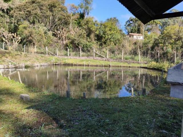 Sítio para Venda em Senador Amaral, Três Saltos, 3 dormitórios, 1 suíte, 3 banheiros, 2 vagas