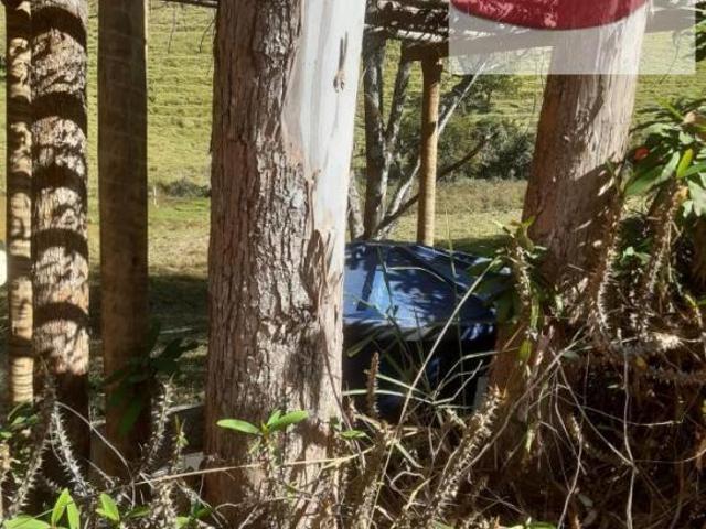 Sítio para Venda em Senador José Bento, Três Barras, 2 dormitórios, 2 banheiros, 6 vagas