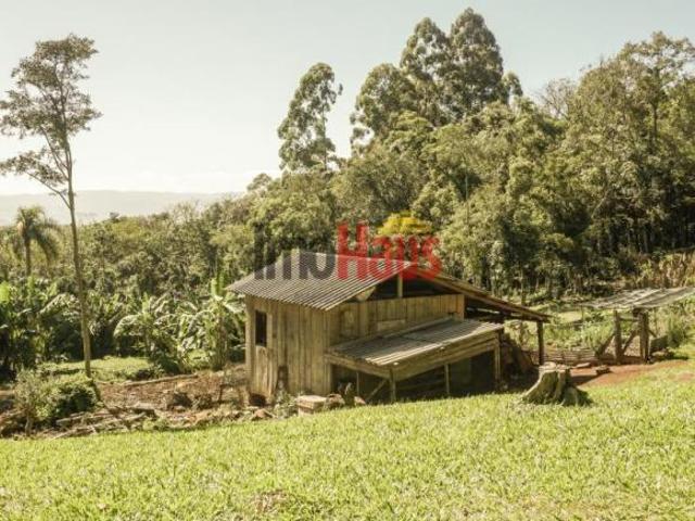 Sítio para Venda em Serra Grande Igrejinha RS 454