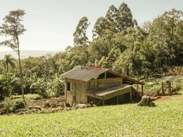 Sítio para Venda em Serra Grande Igrejinha RS 454