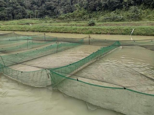 Sítio para Venda em Sete Barras, AREA RURAL, 3 dormitórios, 2 suítes, 1 banheiro, 3 vagas