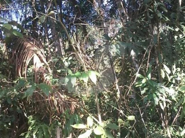 Sítio para venda em Taiaçupeba, Mogi das Cruzes