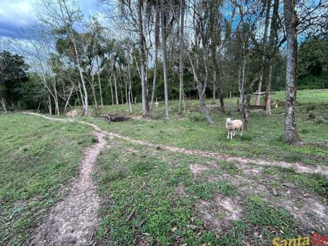 Sítio para venda em Taquari Mirim, Passo do Sobrado