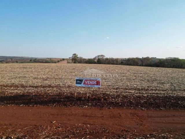 Sítio para venda em Uraí