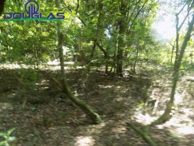 Sítio para venda em Viamão