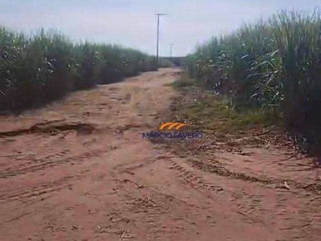 Sítio para venda em Zona Rural, Engenheiro Coelho