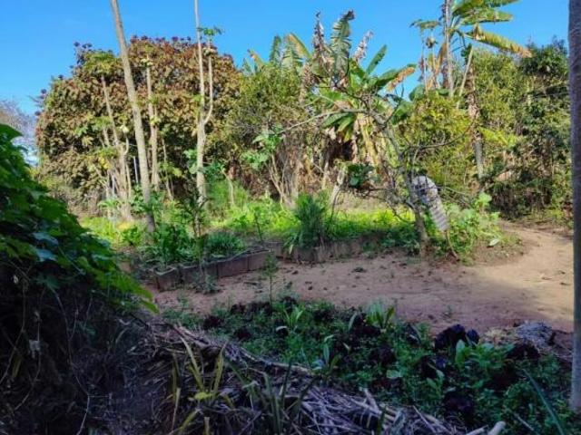Sítio para venda Zona Rural Itaguara