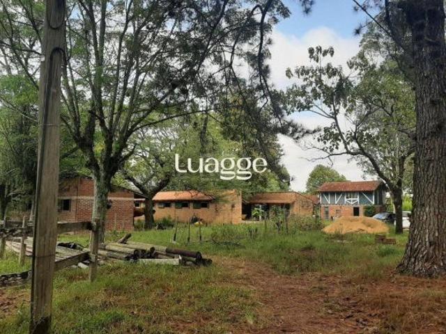 Sítio para Venda 120217m², 0 dormitórios, Campo Novo
