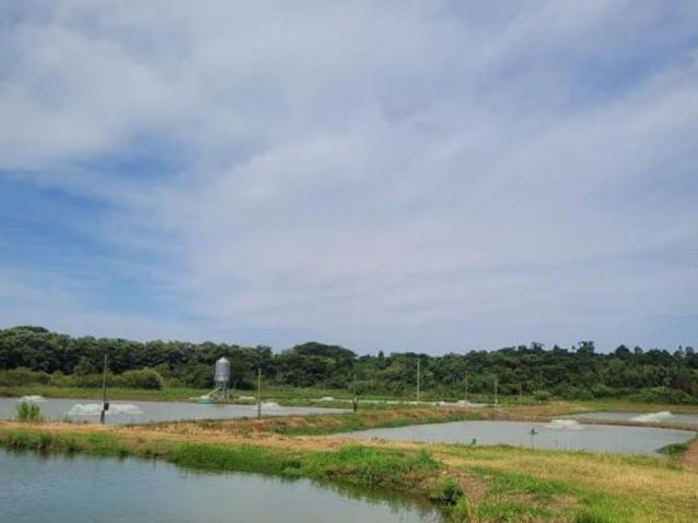 Sítio Produtivo de 5 alqueires, 7 tanques, em São Miguel do Iguaçu PR