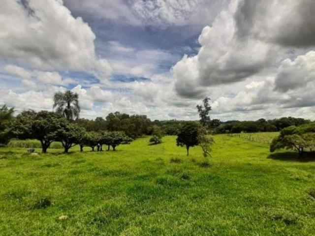 Sítio, Região do Cesário Lange SP