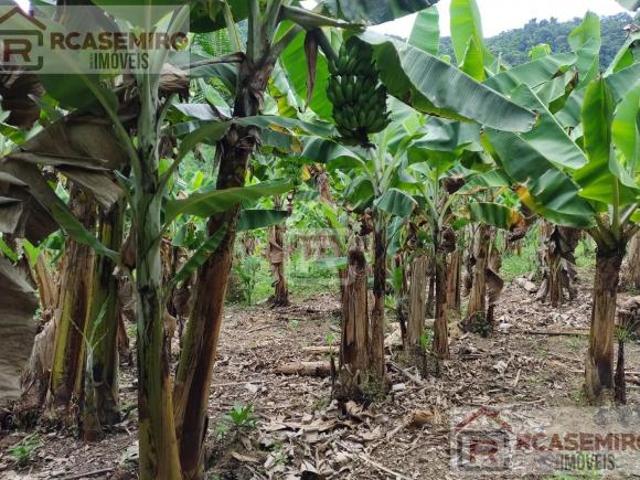 Sitio rico em água, localizado em Juquia SP, com muitas nascentes