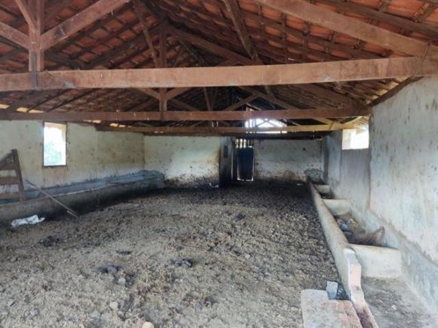 Sítio riquíssimo em águas,muito bom