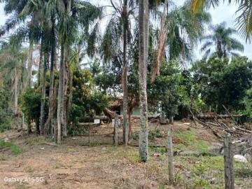 Sitio, Socorro, Socorro, SP